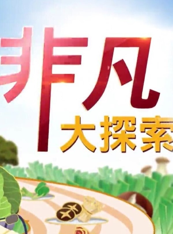 真实约啪高颜值美女做爱完美露脸高颜值女神臣服于胯下爽炸 - 午夜群p
